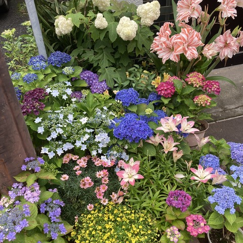 690FE767-B8D4-4919-A1FD-05DBF54A9AA2