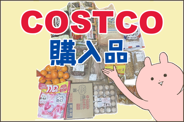 コストコ購入品～洗剤を買いに行っただけなのに～