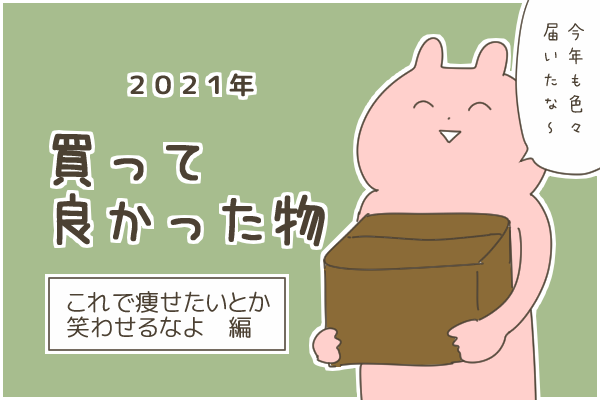 ２０２１年買って良かったもの～これで痩せたいとか笑わせるな編～