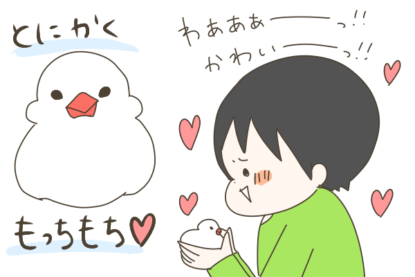 48A62E03-607D-4A4C-9703-C8F84B355373