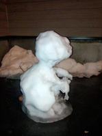 IMG_20121206_213805