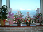 DSCF0019