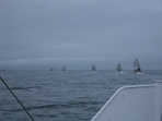 DSCF1378