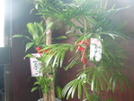 CIMG0426