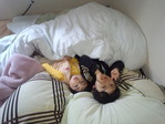 IMG_20121215_122320