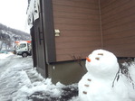 IMG_20121205_112948