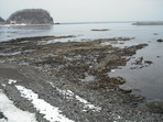 DSCF1246