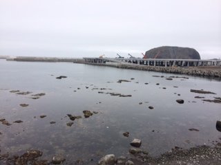 image (4)