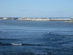 DSCF1563