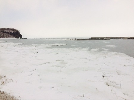 image1 (26)