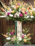 CIMG0432