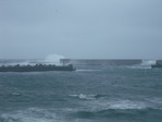 DSCF1231