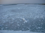DSCF1591