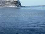 DSCF1574