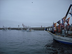 DSCF1364