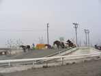 SANY0525