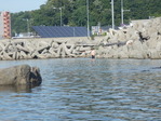 P8300527