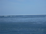 DSCF1576