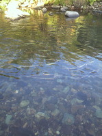 P1020548