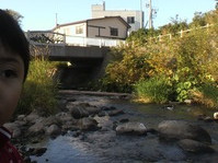 P1020549