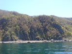 DSC00852
