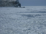 DSCF1595