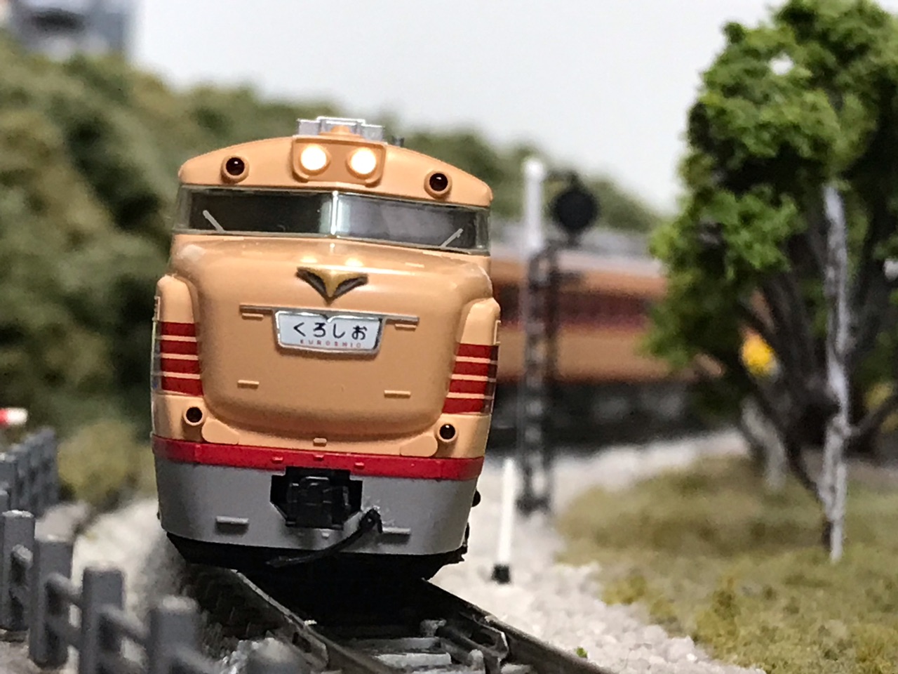 TOMIX キハ81・82系 特急「くろしお」 : なみとの風