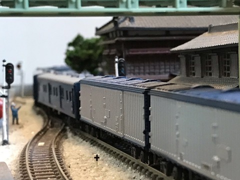 IMG_8801