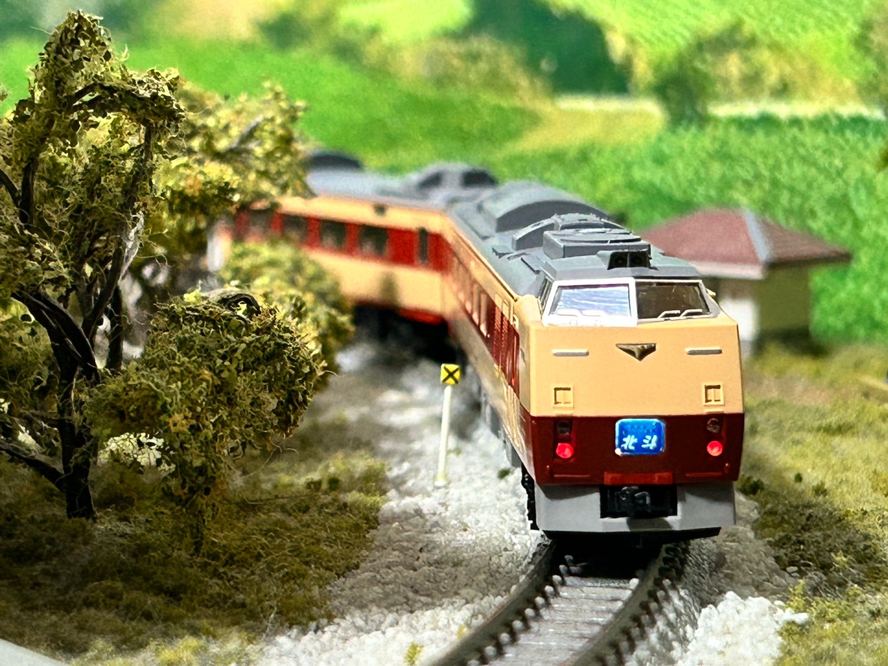 TOMIX キハ183系0番台 : なみとの風