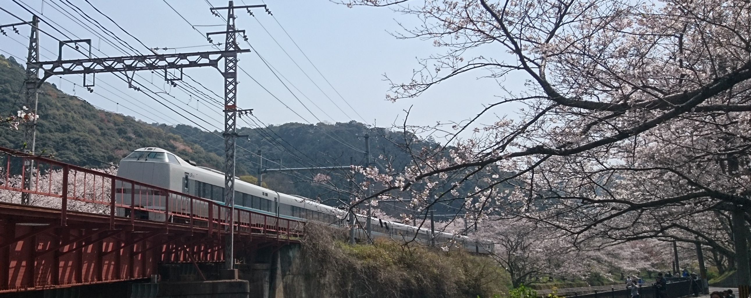 イメージ 4