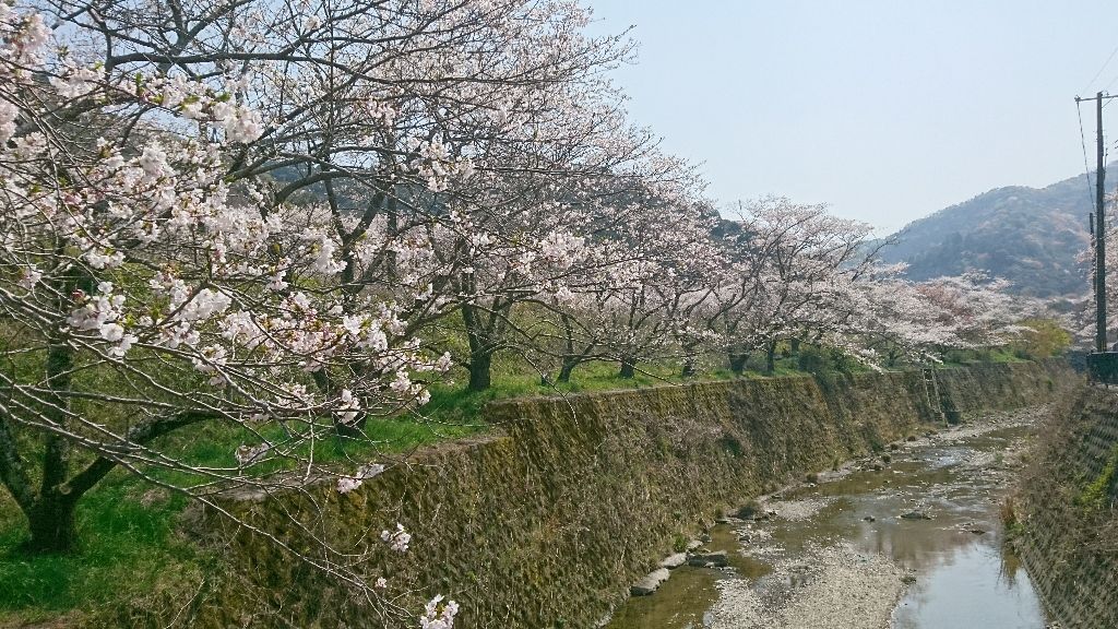 イメージ 5