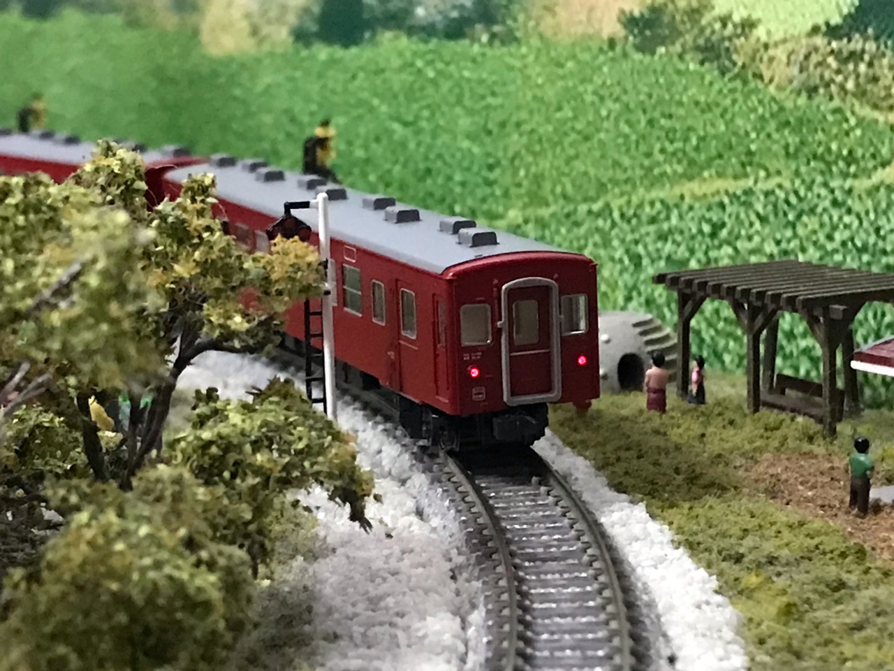 KATO ED78 EF71 重連 : なみとの風