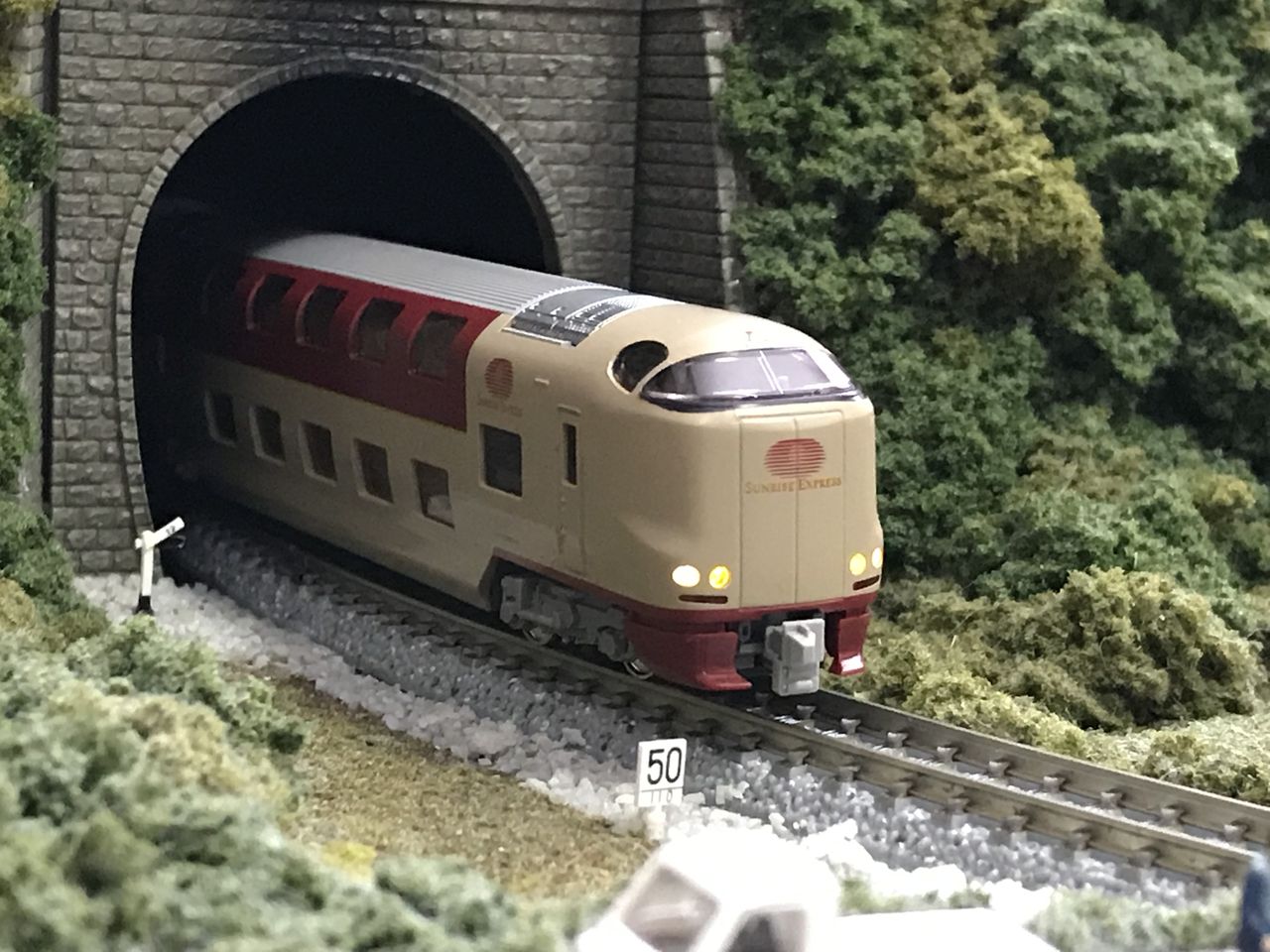 イメージ 7