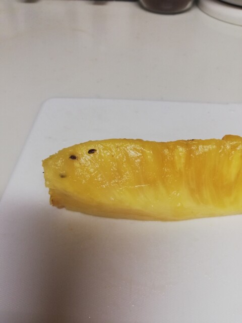 雲手 完成 パイナップルの種 アリエスのあーちゃん