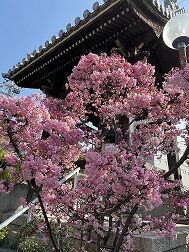 IMG_0393