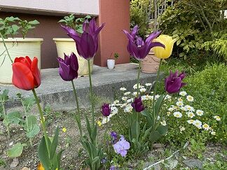 IMG_3032