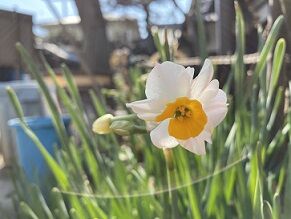 IMG_3655