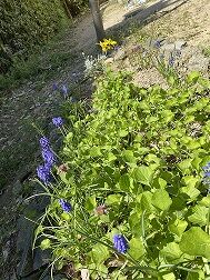 IMG_1985