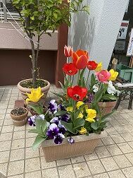 IMG_1938