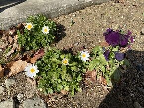 IMG_3656