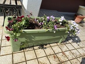 IMG_3652