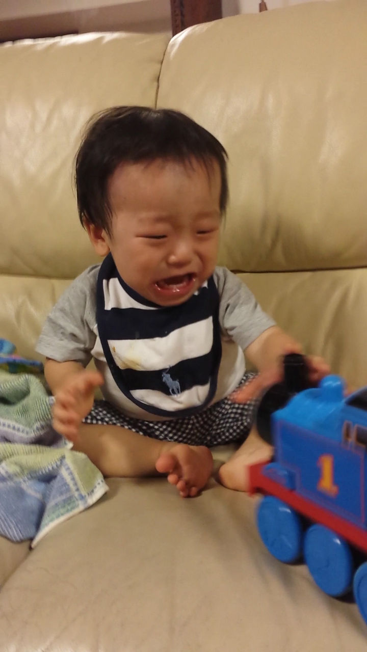 トーマスくん 渚難済のzonny事情