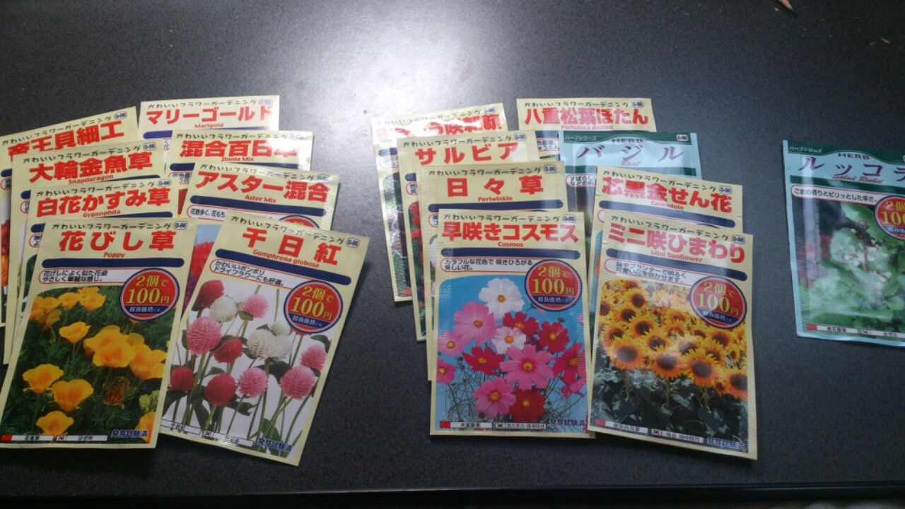 植物観察記録 ３月１日 三月の種まき 植物図鑑 ガーデンレコード 花の易しい育て方
