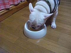 DSCF1936