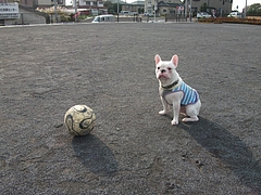DSCF2041