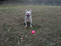 DSCF2078
