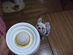 DSCF1926