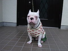 DSCF2070