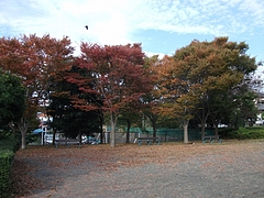 DSCF1960