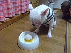 DSCF1930